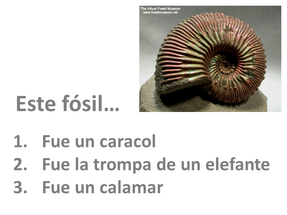 calidad