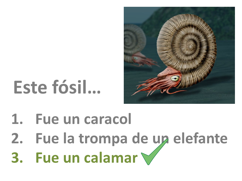 calidad