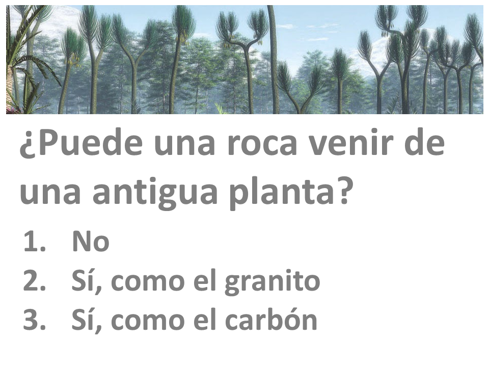 calidad